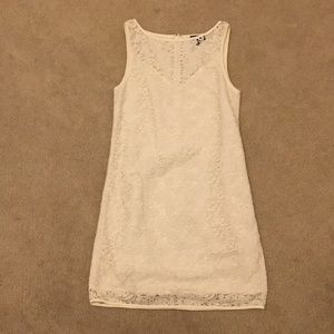The Limited Cream Lace Sheath Dress